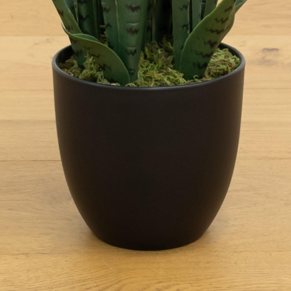 Artificial snake plant with black planter, full plant side view