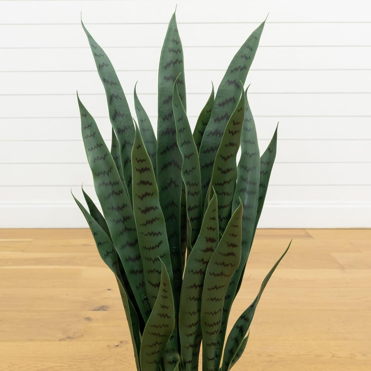 Artificial snake plant with black planter, styled on an office desk